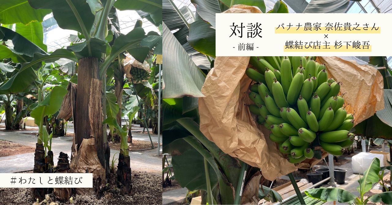 ※譲り先決定※【バナナミュージアム】 大阪市東成区】バナナ好き必見！バナナカステラがお得に購入できる
