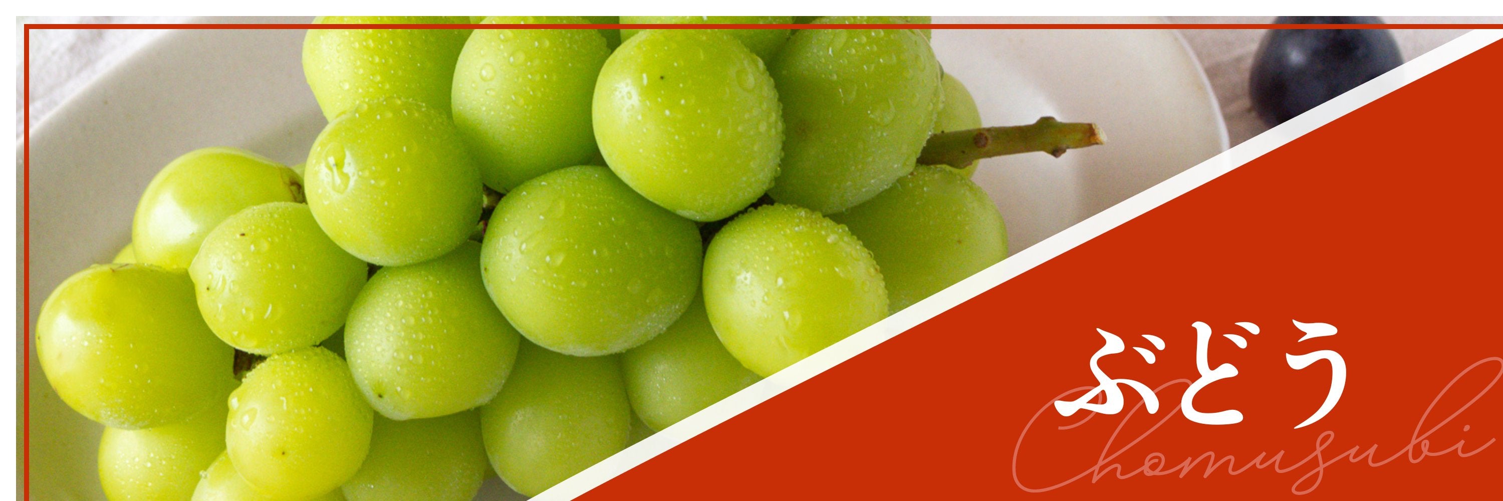 ぶどう