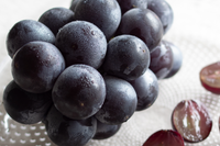 マスクメロンと季節のフルーツセット-秋-