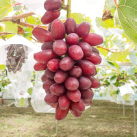 510020970_1688569935196487_4173430240639637775_n.jpg__PID:0696d57f-4d0e-44ae-bd69-226f29529b86