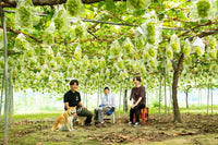 517326370_1463972801611563_6383509101548672513_n.jpg__PID:d57f4d0e-04ae-4d69-a26f-29529b86687b