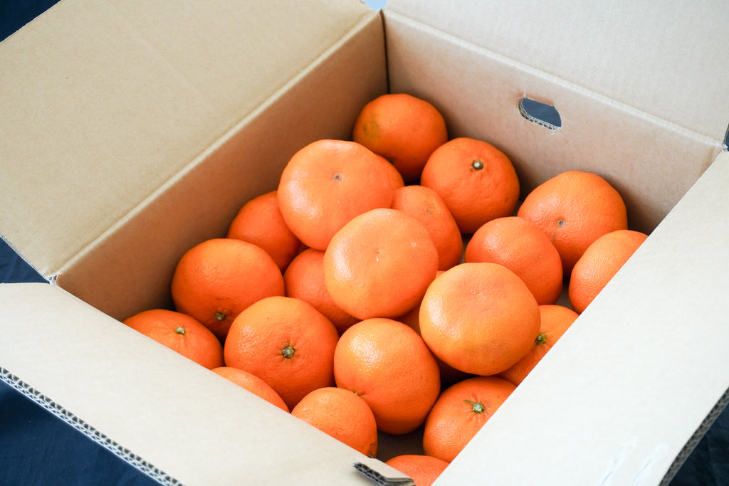 日付指定不可【大田市場より直送】愛媛県産 甘平–フルーツギフト専門店