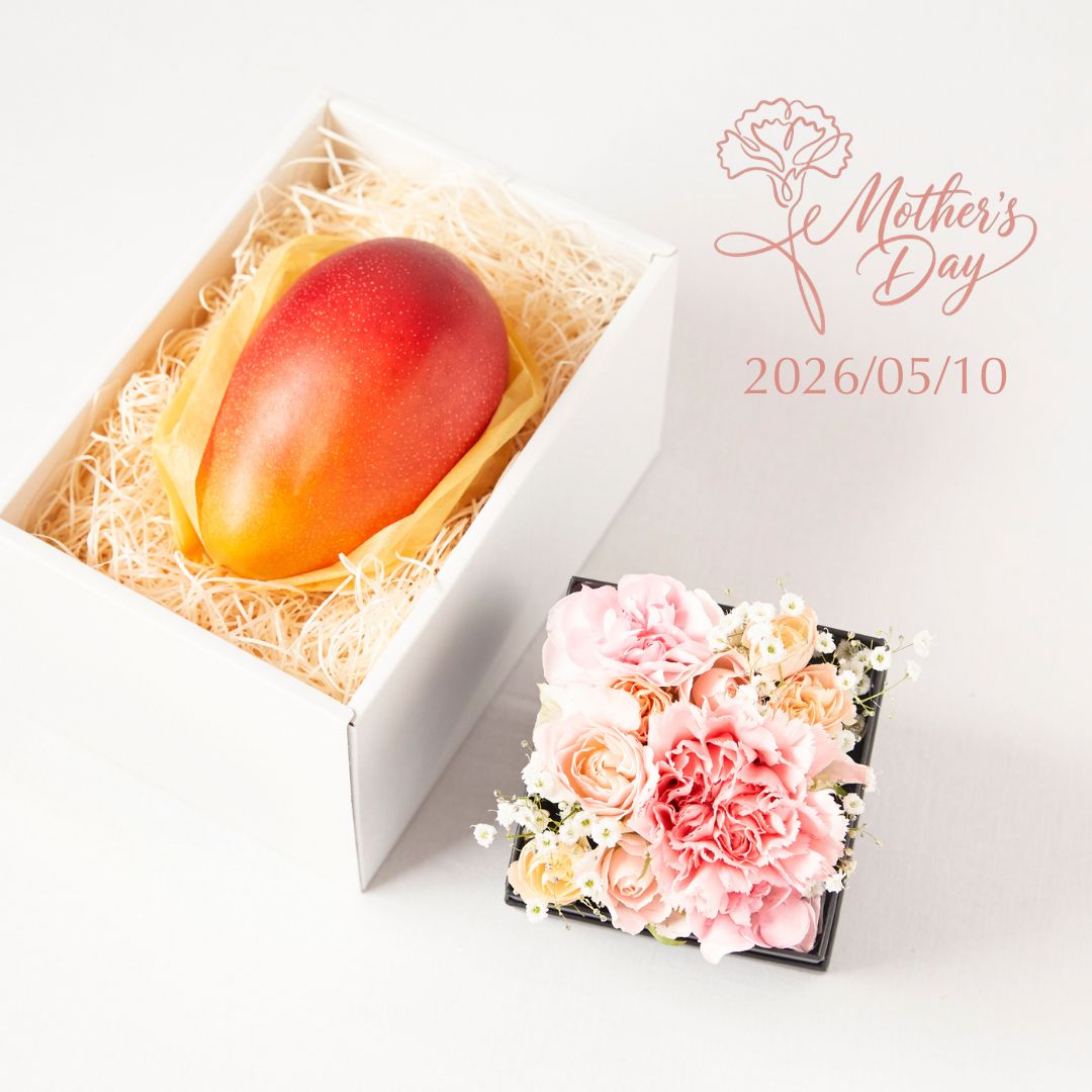 【母の日】完熟マンゴーとボックスフラワー