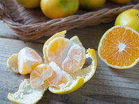 マスクメロンと季節のフルーツセット-秋-