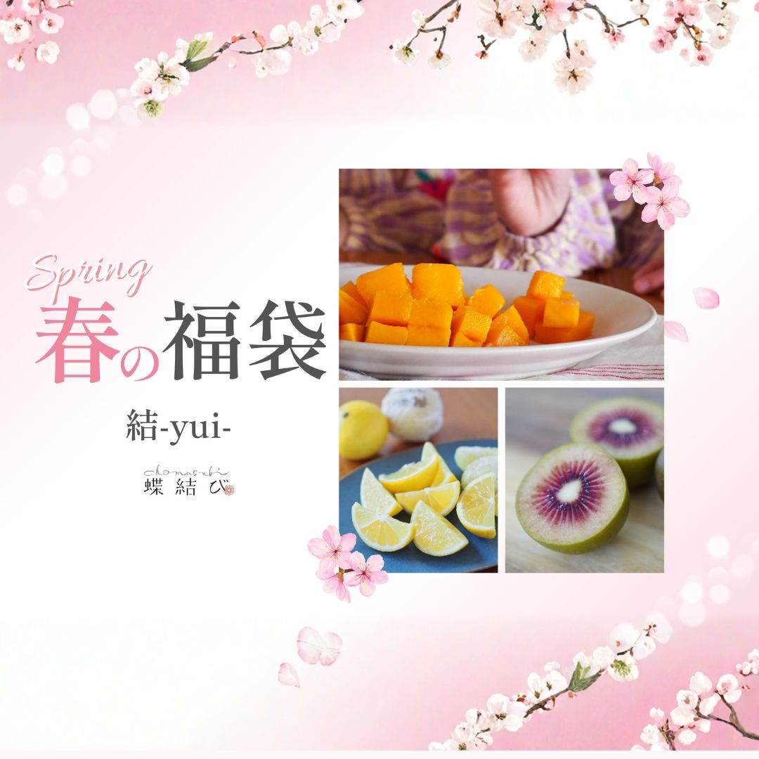 蝶結び 春の福袋