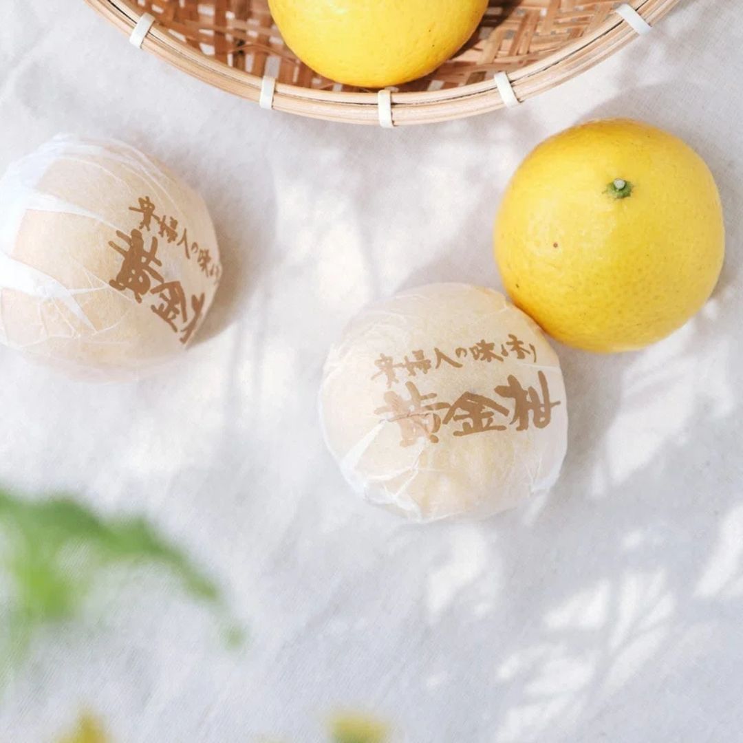 蝶結び 春の福袋