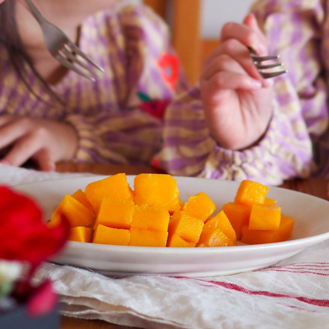 蝶結び 春の福袋