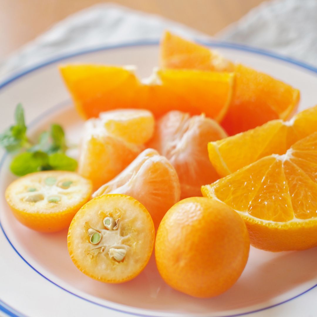 蝶結び 春の福袋