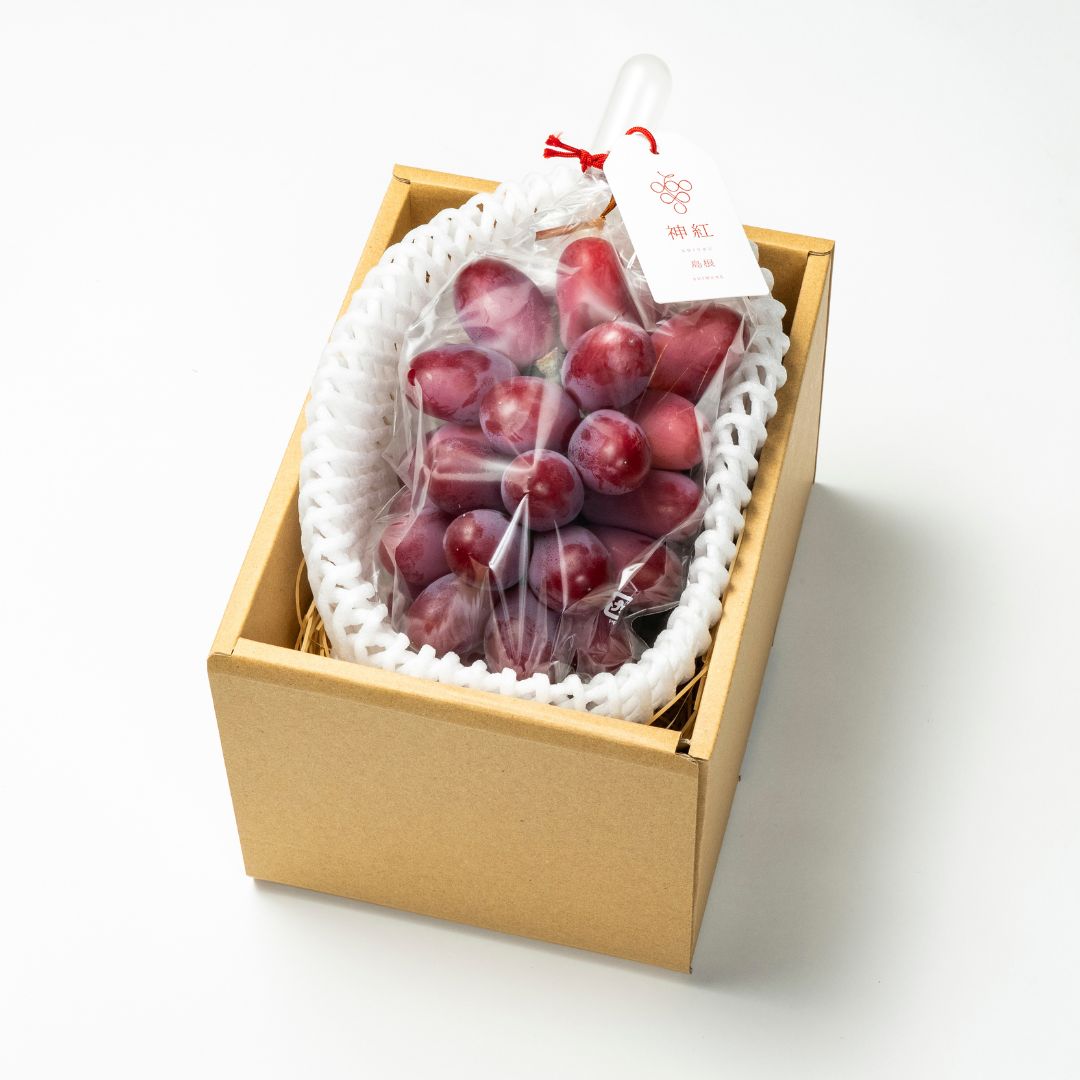 【予約受付中 8/20以降出荷開始】神紅 -しんく-