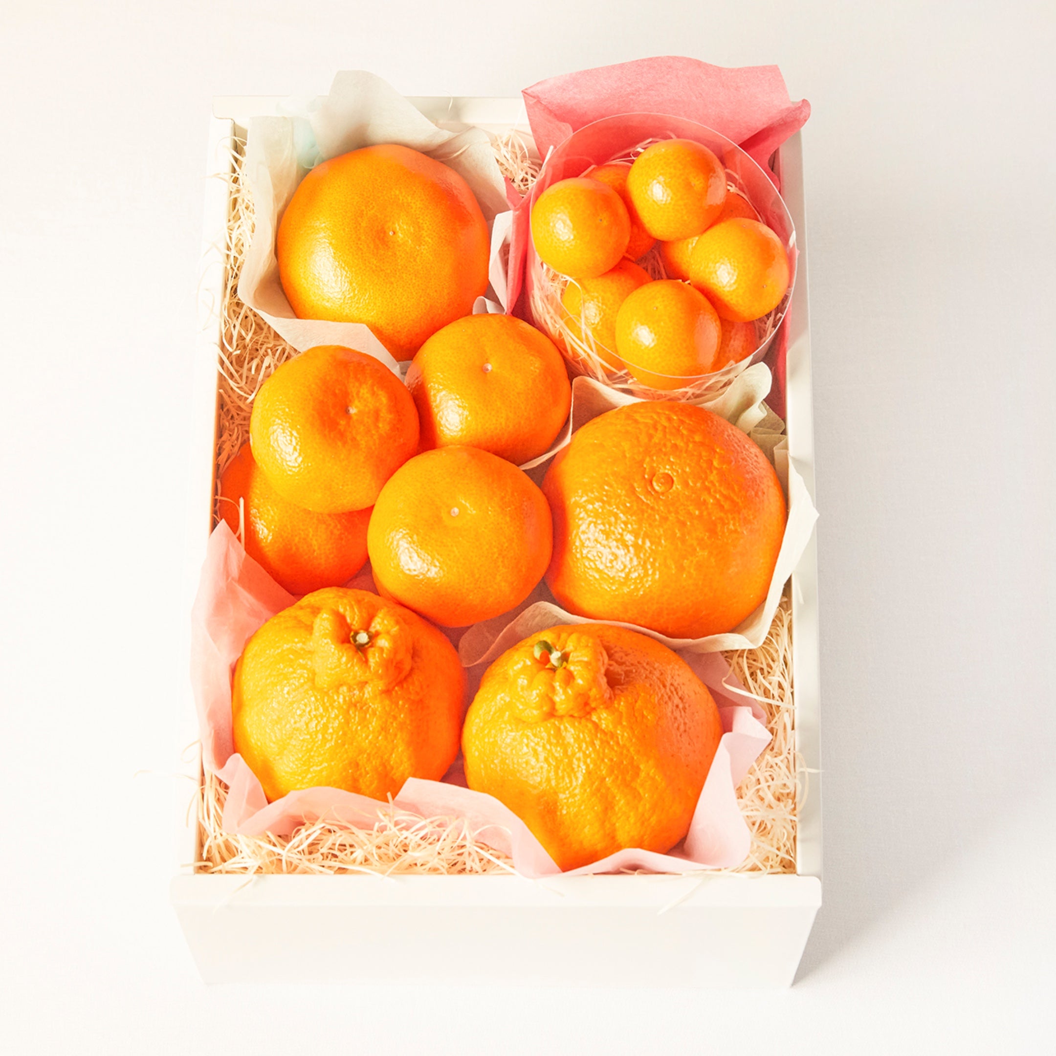 柑橘食べくらべセット