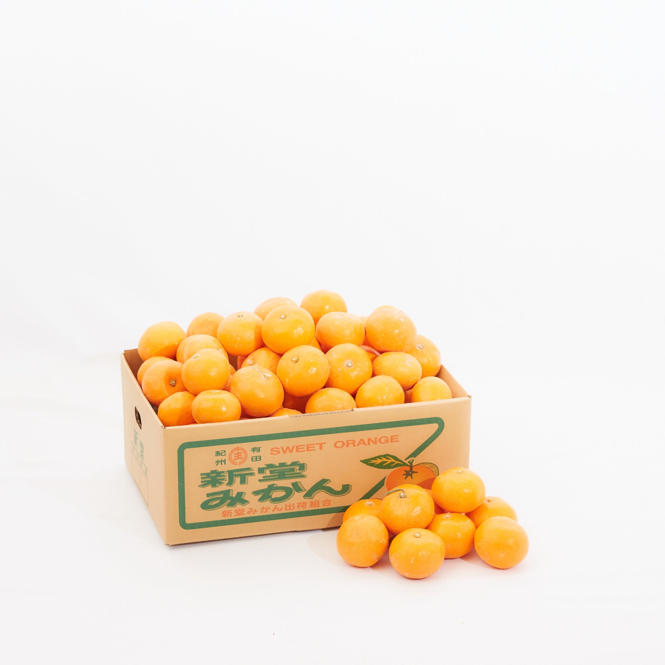 【12月お届け】新堂みかん5kg