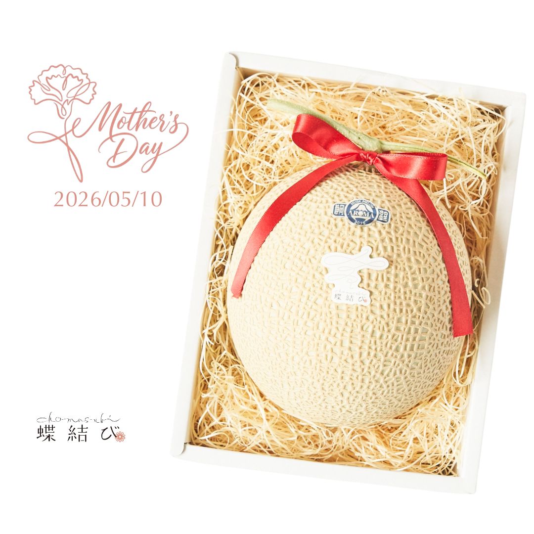 【母の日】マスクメロン 1玉