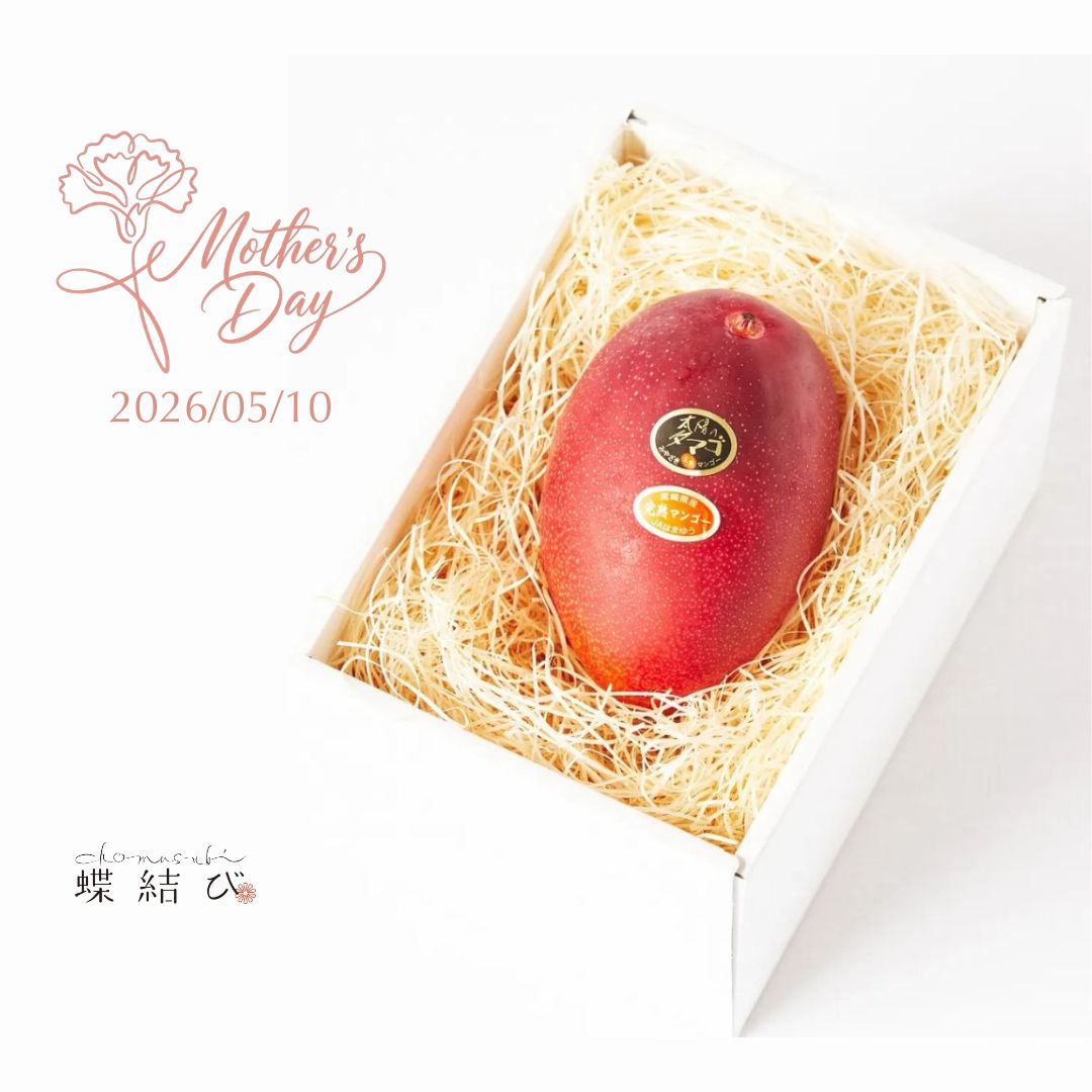 【母の日】太陽のタマゴ 1玉