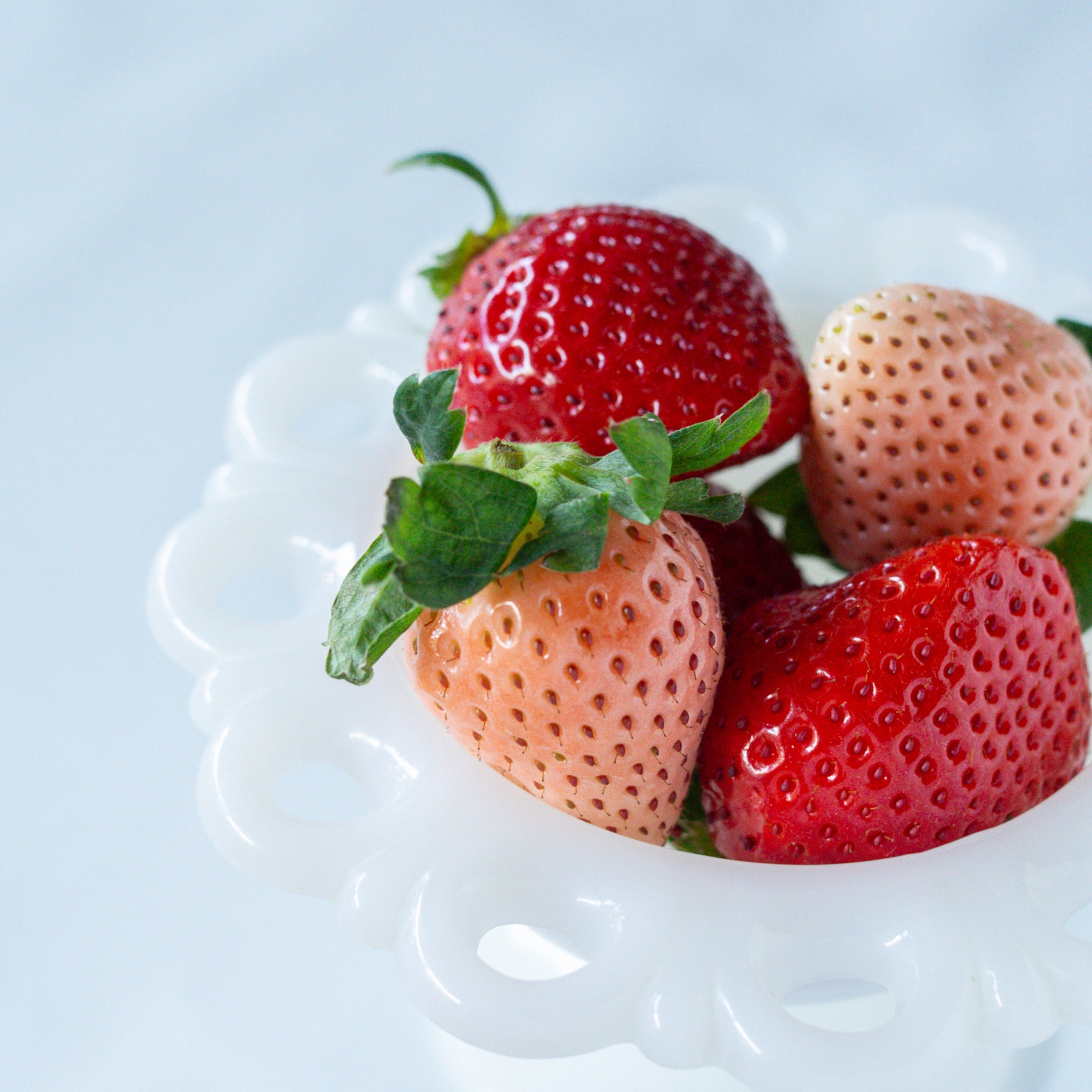 【紅白】いちご食べくらべセット