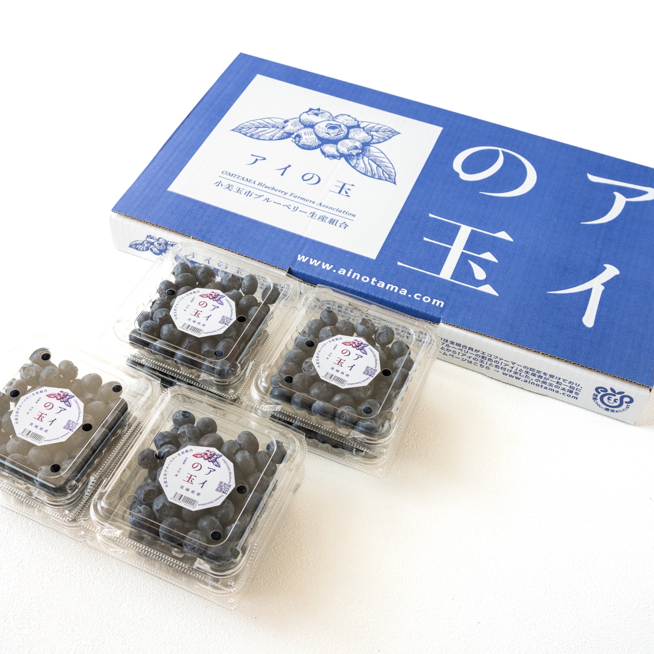 【日付指定不可】ブルーベリー -アイの玉-