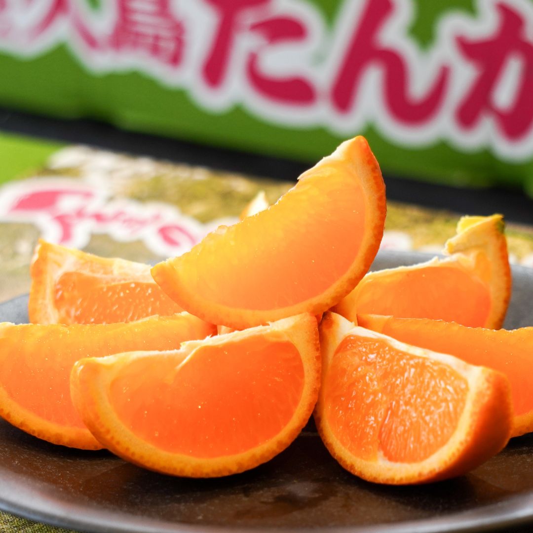 屋久島たんかん