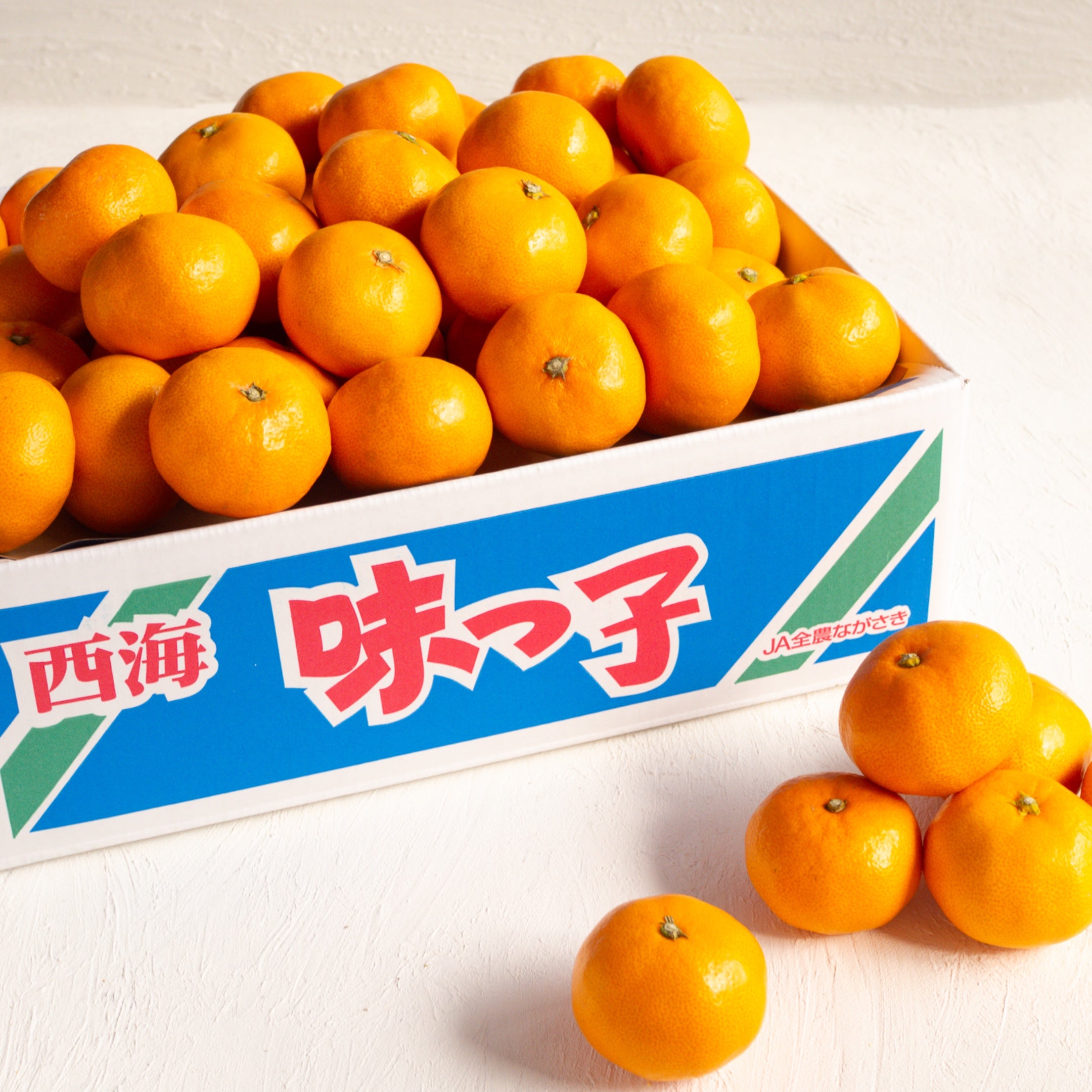 【日付指定不可】味っ子みかん