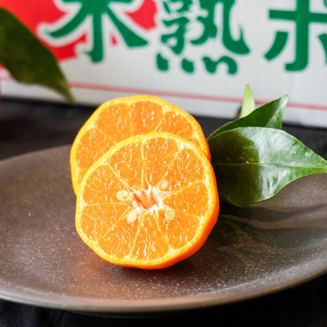 木熟ポンカン