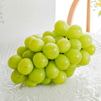 【prestige用テスト商品】シャインマスカットと季節のフルーツセット-秋-