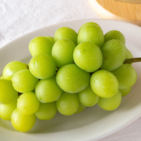 【prestige用テスト商品】シャインマスカットと季節のフルーツセット-秋-