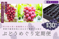 8/10締切【予約受付】ぶどうめぐり定期便 紫星(しせい)コース
