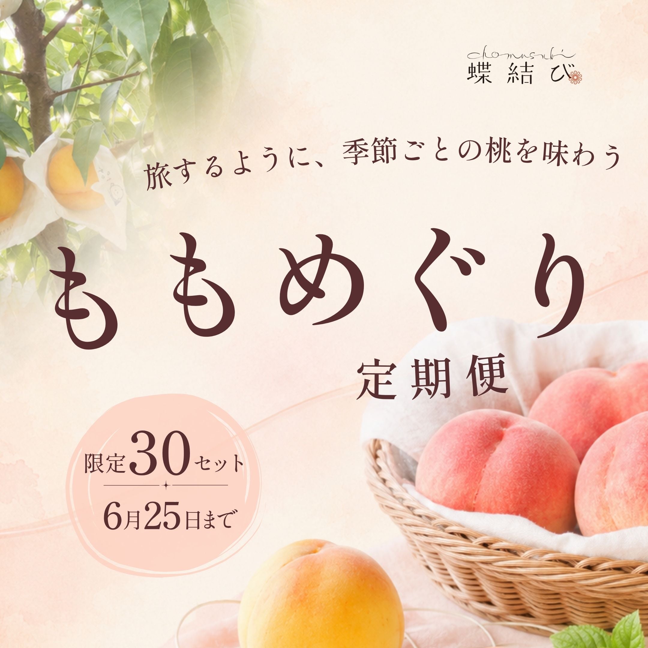 桃の定期便「ももめぐり便」｜旬を追って届く食べくらべ - 蝶結び