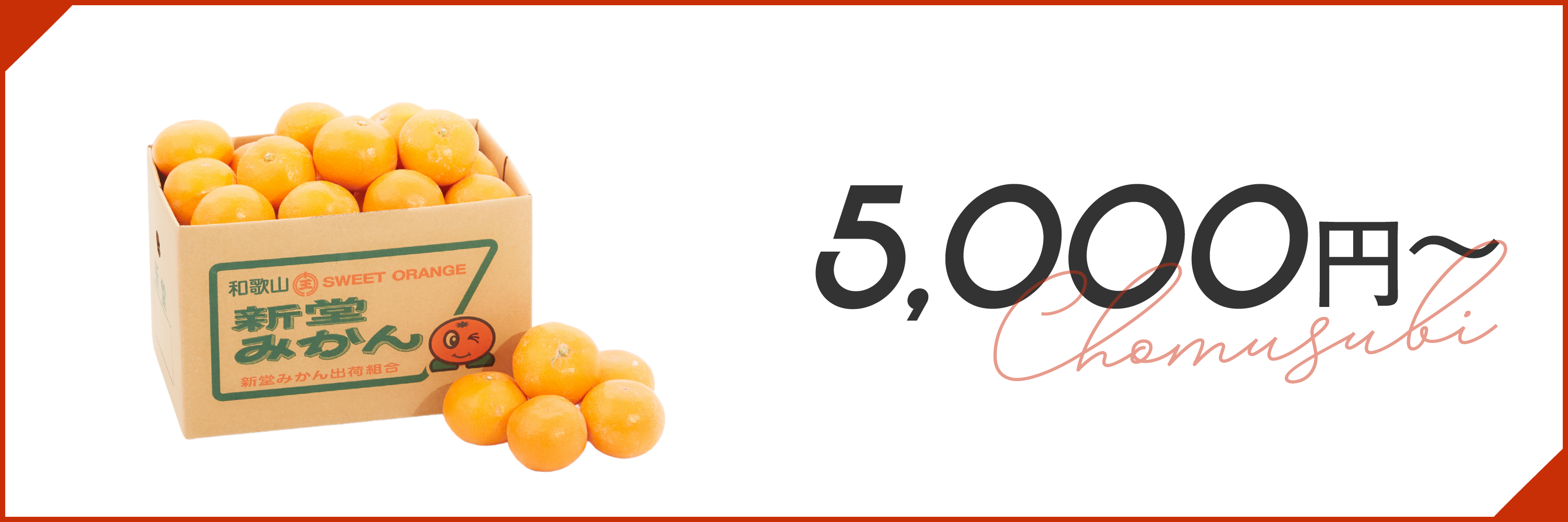 5,000円～10,000円