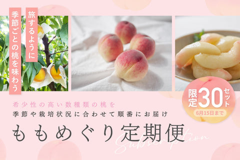 【NEW】桃めぐり定期便