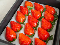 【産地直送・日付指定不可】鈴木いちご園 -やよいひめ-