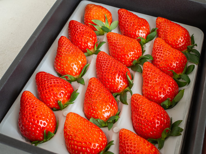 産地直送・日付指定不可】鈴木いちご園 -やよいひめ-–フルーツギフト