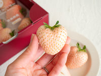 日付指定不可【大田市場より直送】奈良県産 コットンベリー