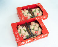 日付指定不可【大田市場より直送】佐賀県産 -白い宝石-