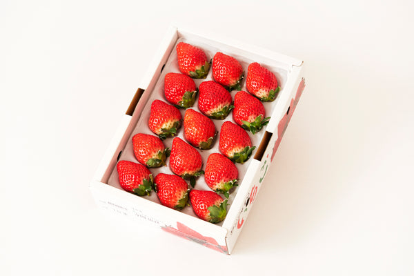 日付指定不可【サンシャインヴィレッジ】新品種-みくのか-