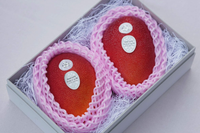 【産地直送・日付指定不可】北海道　白銀の太陽　-L 2玉-