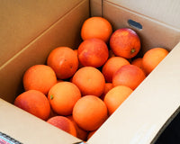 日付指定不可【大田市場より直送】愛媛県産 ブラッドオレンジ