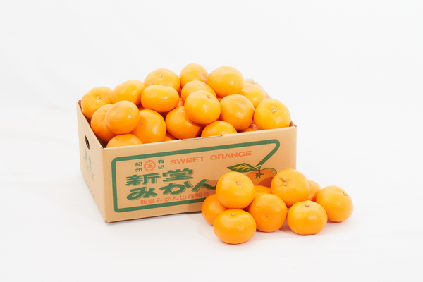 特選　和歌山県産　新堂みかんMサイズ【5kg】