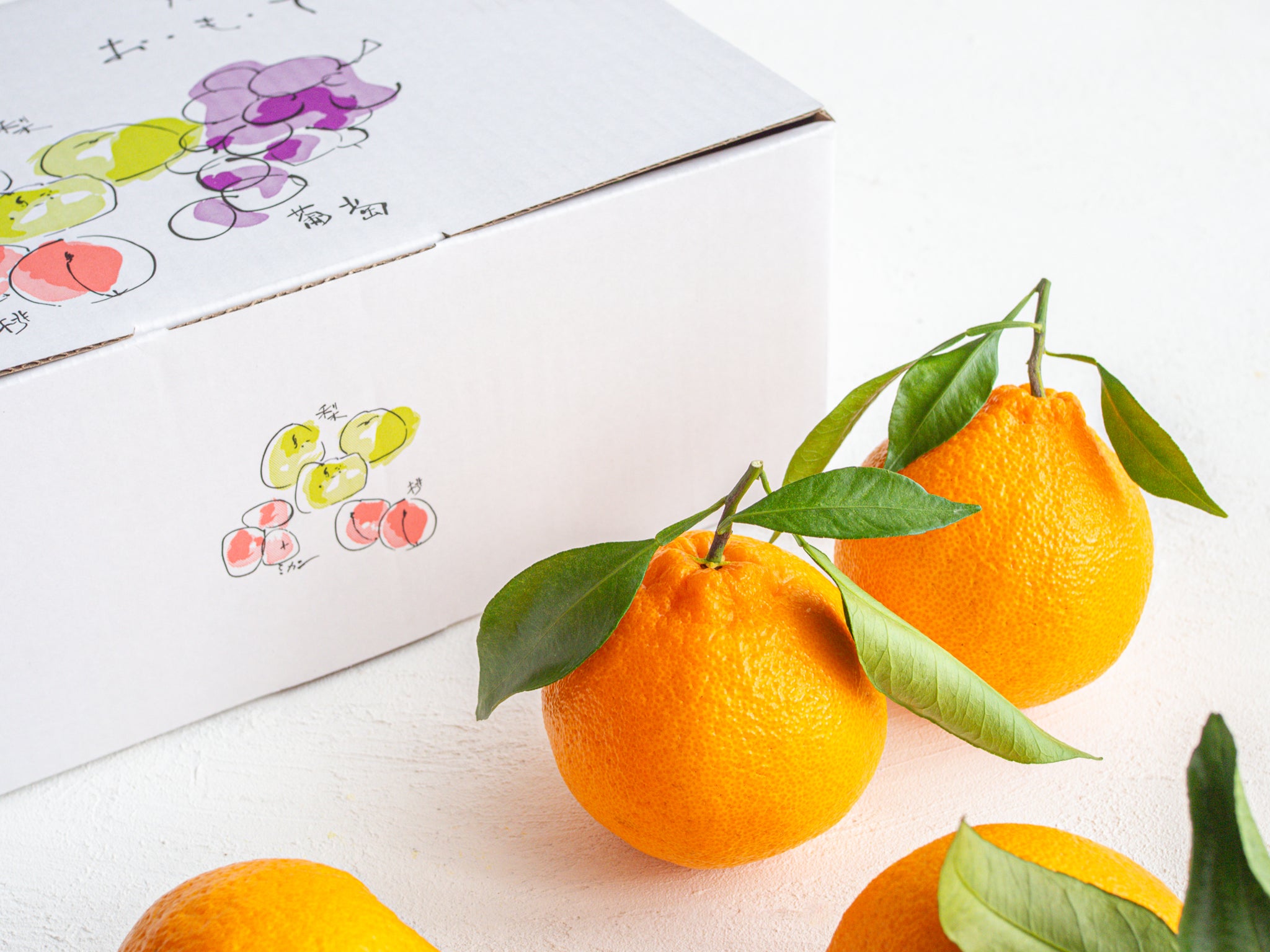 選べるeギフト「e-花葉」