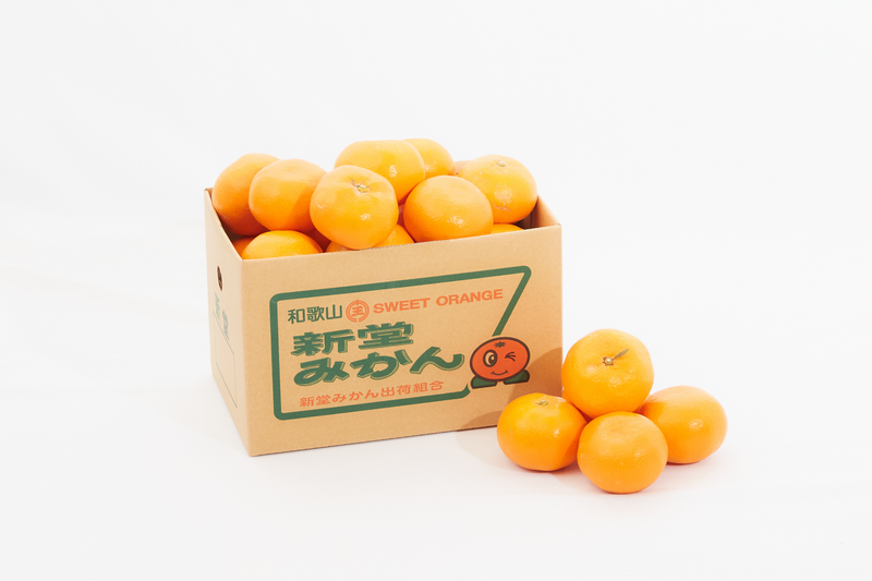 特選　和歌山県産　新堂みかんMサイズ【3kg】