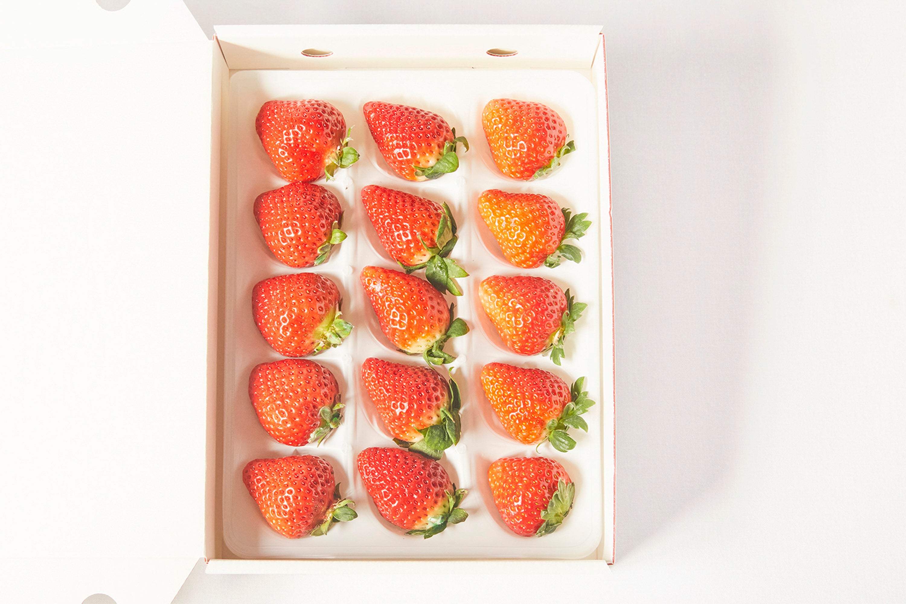 選べるeギフト「e-薄紅」