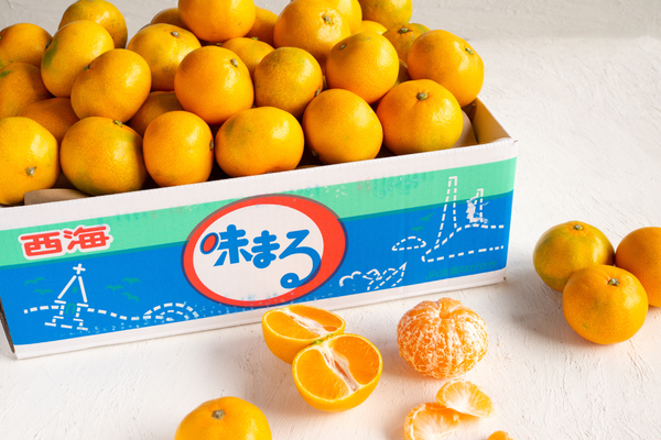 日付指定不可【大田市場より直送】糖度12度以上　味まるみかん5kg