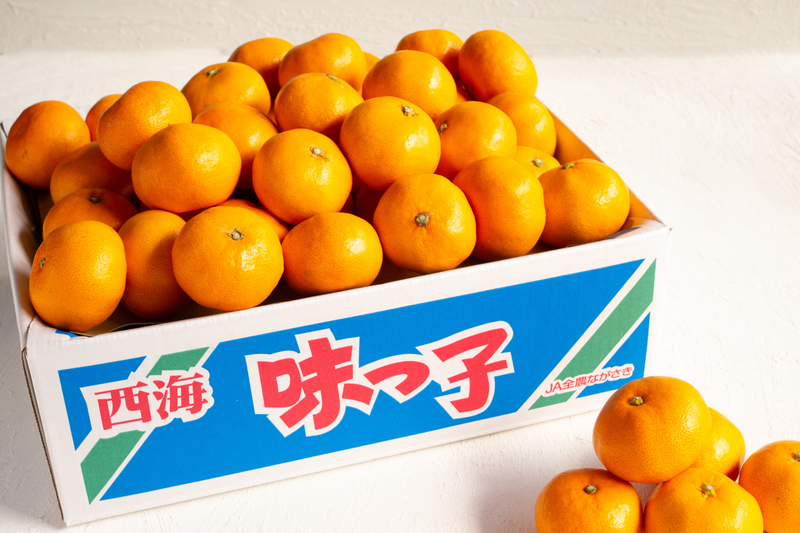 日付指定不可【大田市場より直送】糖度13度以上　味っ子みかん5kg