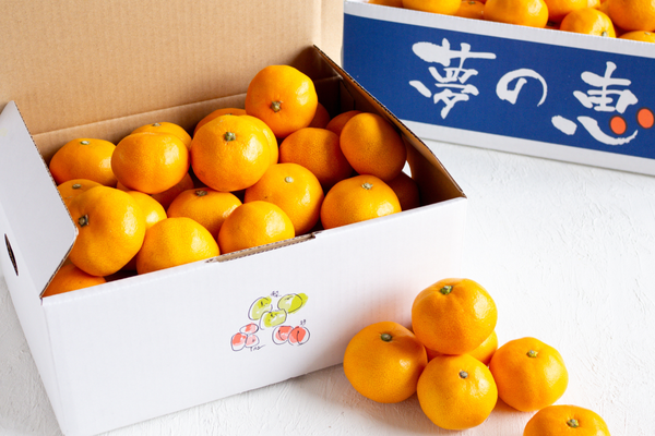 日付指定不可【大田市場より直送】糖度12度以上　夢の恵みかん2kg