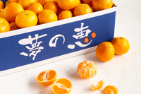日付指定不可【大田市場より直送】糖度12度以上　夢の恵みかん4kg
