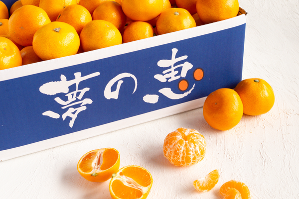 日付指定不可【大田市場より直送】糖度12度以上　夢の恵みかん4kg