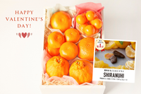 よなフルと柑橘食べくらべセット （送料込）