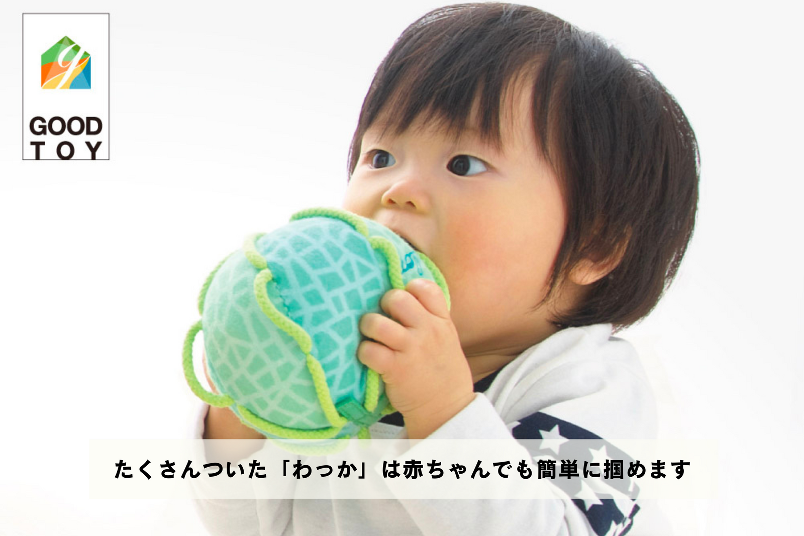 予約受付！季節の柑橘食べくらべセット×わっかボールみかん– フルーツ