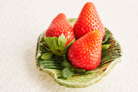 日付指定不可【サンシャインヴィレッジ】新品種-みくのか-