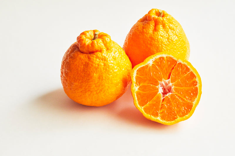 季節の柑橘食べくらべセット×わっかボールみかん