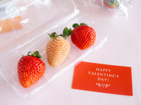 よなフルと【紅白】いちご食べくらべ -mini- 3セット