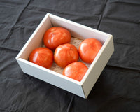 日付指定不可【大田市場より直送】愛知県産 ファーストトマト -龍珠-